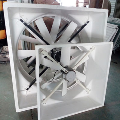 Roof Ventilation Wall Mounted FRP Negative Pressure Fan Fiber Glass Exhaust Fan
